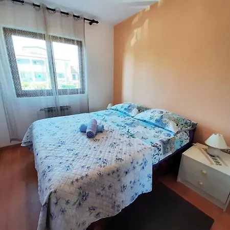 Cvitić *