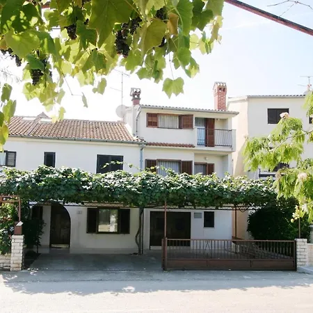 Cvitić *